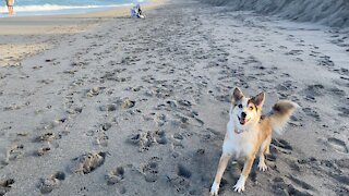 Crazy bitch on beach