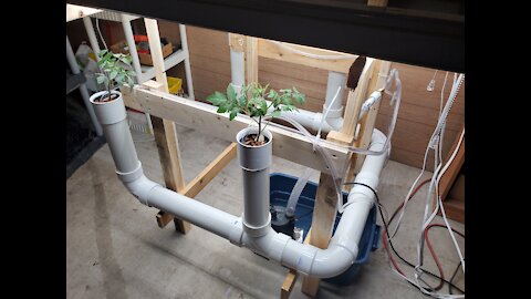 Drip ~ NFT Hydroponics System (Using PVC Pipe)