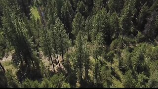 Missing Boise hikers found