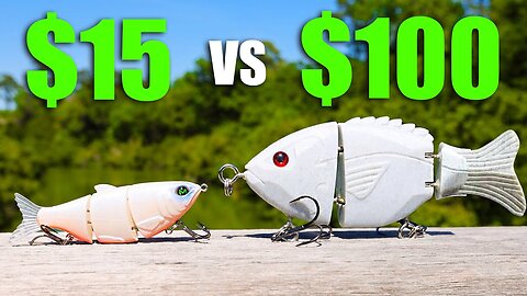 CHEAP vs EXPENSIVE Swimbait Fishing TOURNAMENT!!! (INSANE)