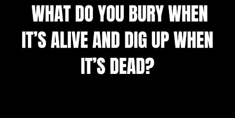 BURRY WHEN IT'S ALIVE AND DIG UP WHEN IT'S DEAD - RIDDLES FOR SMART PEOPLE