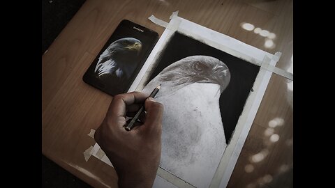 Eagle Drawing | Drawing of a eagle | Bird Drawing |