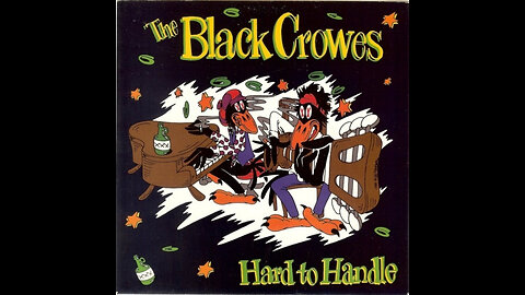 The Black Crowes - Hard To Handle