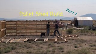 Pallet Shed Construction Part 1