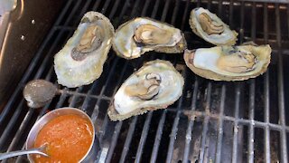 Grilled Oysters