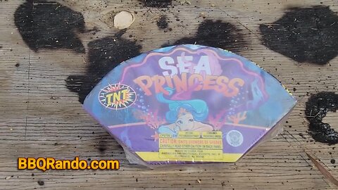 Sea Princess - TNT Fireworks