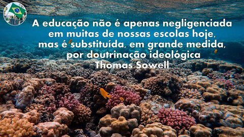 #aovivo Paz aos conservadores e aos defensores da Verdadeira Democracia 19/08/2022 BOLSONARO 2022