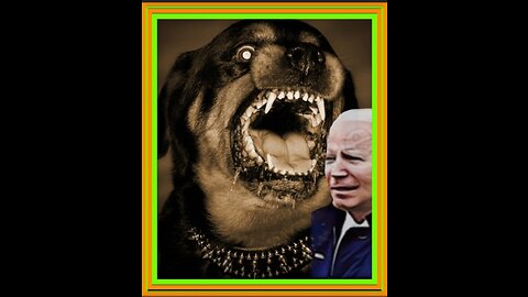 🇨🇮"IRELAND'S PRESIDENT'S 'DOG MISNEACH' SCARES THE HELL OUT OF JOE BIDEN"🇨🇮