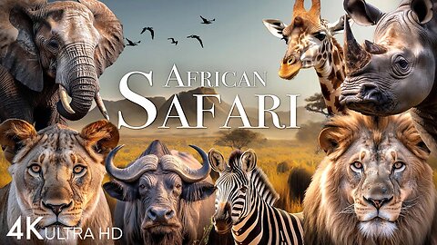 African safari 4k- Amazing wildlife of African Savvana