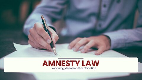 What is AMNESTY LAW?