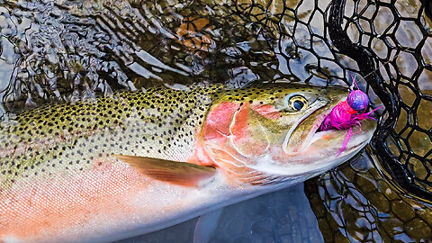 PB Cutthroat Trout While Coho Salmon Fishing