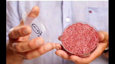 Protein Monopoly Through Patents (The Truth About Fake Meat)