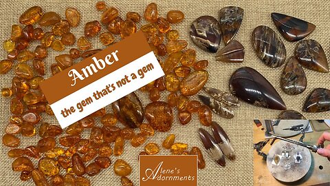 Amber; The Gem that is NOT a Gem!