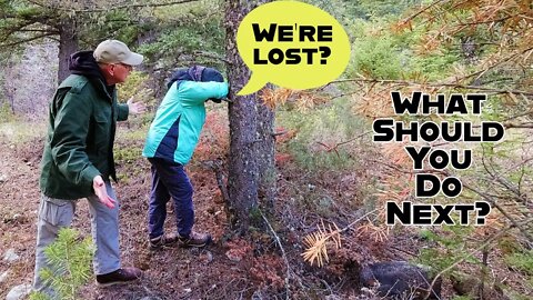 We're Lost? Surviving in the forest could depend on what you have in your pockets.