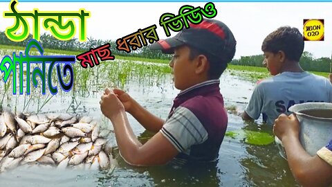 Amazing fishing || A chest of cold water Beautiful view of village boys fishing in current net.