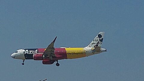 Airbus A320NEO PR-YSH Mickey Mouse vindo de Campinas para Manaus