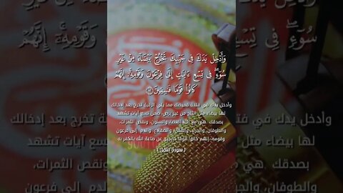 #حالات #quran وادخل يدك في جيبك تخرج بيضاء من غير سوء