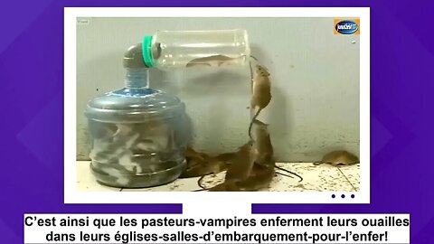 CES PAUVRES RATS QUI EN DISENT LONG SUR LES PASTEURS-VAMPIRES ET ESCROCS!