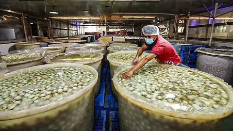 How Millions of Duck Eggs Produce Mud Salted Eggs - Salted Duck Egg Factory - Roast Duck Processing