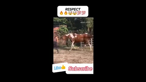 Horse is dancing with she🔥😱🤯