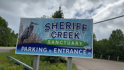 Live Morning hike at Sheriff Creek Sanctuary, Elliot Lake Ontario. Canada