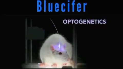 Bluecifer / Optogenetetics