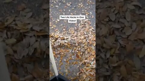 Raking Leaves Life Hack! #Raking #Leaves #lifehack