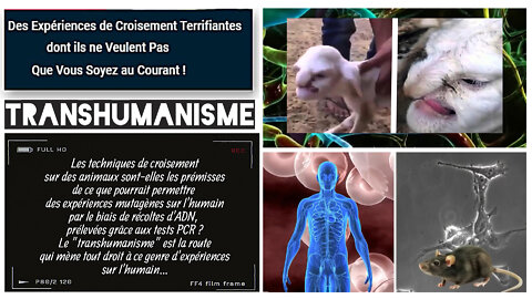 Mutation génétique / De l'Animal d'aujourd'hui à l'Homme de demain... (Hd 720) Autre lien au descriptif