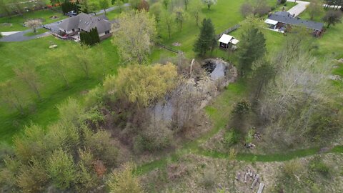 Pond fly over