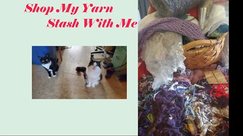 Shop My Stash Saturday || Yarn Edition || Stitch & B*