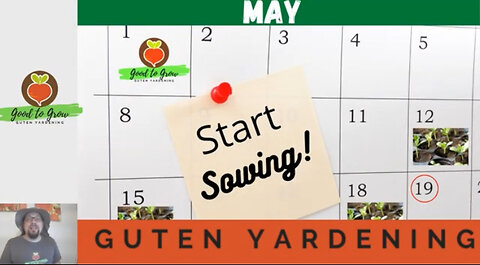 Vegetables to Plant in May | Spring Gardening 101 | Zone 5 Gardening