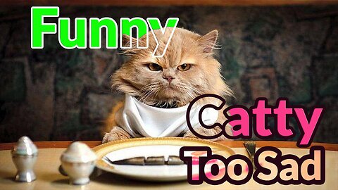 Cutie funny most adobarble catty videos in 2023