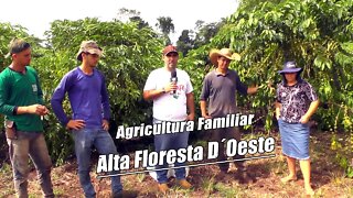 Agricultura Familiar – Produtor Rural Ademir Saldanha Linha 47,5 mostra que Alta Floresta Produz