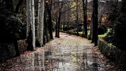 Rainfall on a gravel path in Retiro Park, Madrid