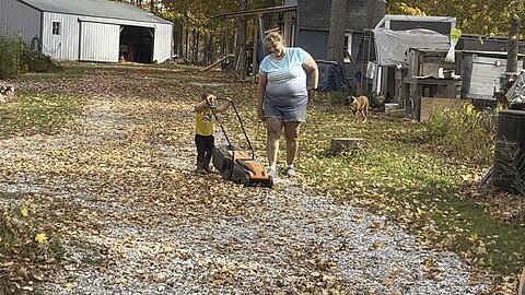 Getting Leaves 🍃 For The Compost #falltime #leaves #farm #homestead Chamberlin Family Farms