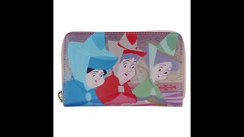 Loungefly Disney Princess Books Zip Around Wallet