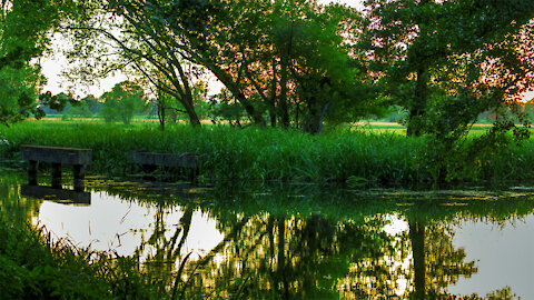 Summer in the Spreewald