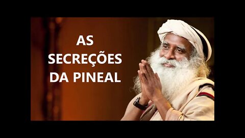 AS SECREÇÕES DA PINEAL, SADHGURU, DUBLADO