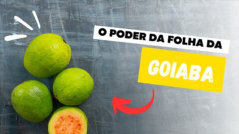 Os Incríveis Benefícios da Folha de Goiaba - Descubra Agora!