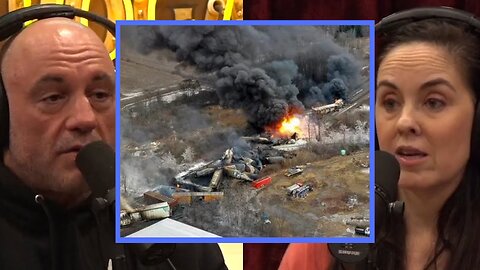 Train Derailment Aftermath of the Ohio CHEMICAL SPILL w/ Bridget Phetasy | #JRE1941