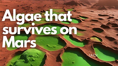 Is Life Possible on Mars? Scientists Answer with Desert Moss!