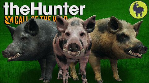 Hogmanay Hogs, Hunt Club Beta | theHunter: Call of the Wild (PS5 4K 60FPS)