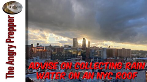 Advise On Collecting Rain Water On An NYC Roof