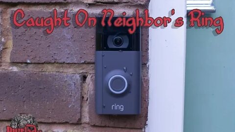 Caught on Neighbor's Ring -- Orbs, Plasma Beings, Faeries & Entities