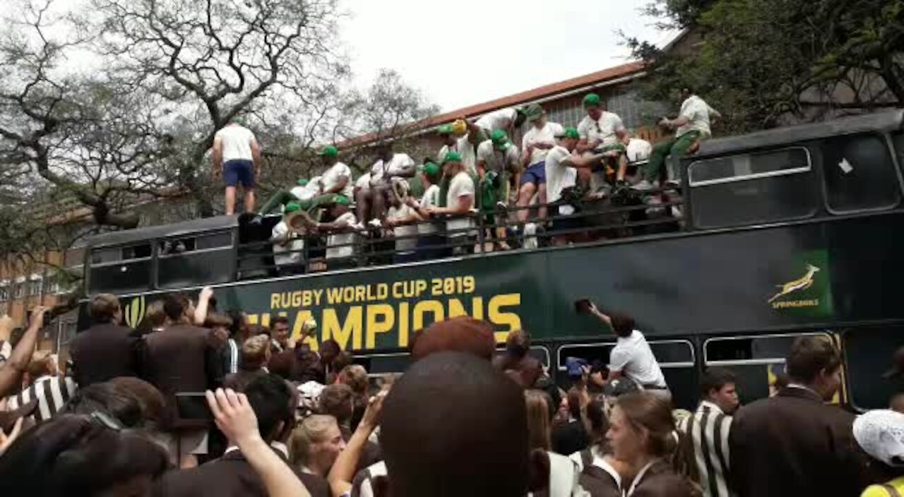 SOUTH AFRICA - Johannesburg - Boks (video) (JgM)