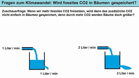 Klima und Physik ► Senken Bäume den CO2 Gehalt der Atmosphäre?