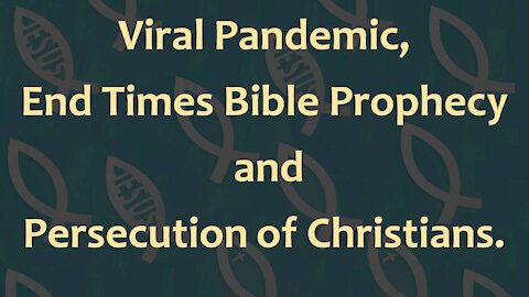 Pandemic, Rising New World Order & Christian Persecution - Andy FireCharger [mirrored]