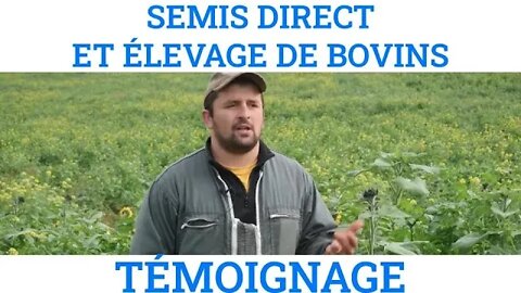 TÉMOIGNAGE : Adrien Constant, SEMIS DIRECT ET ÉLEVAGE DE BOVINS