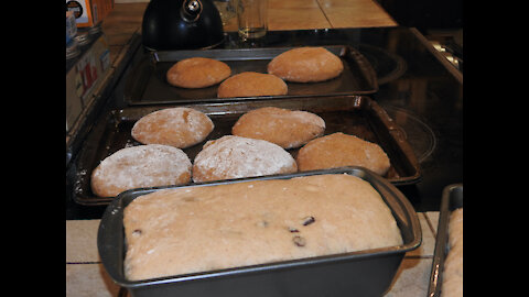 Cooking with Greg , Raisin Bread and Multigrain Rolls