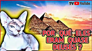 Por Quê no Antigo EGITO os GATOS eram IDOLATRADOS ? #youtube #history